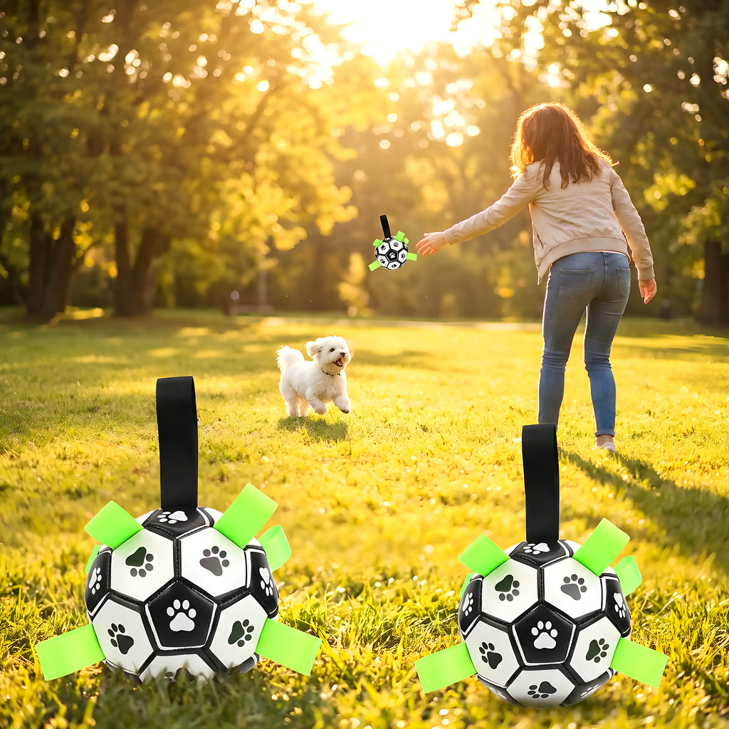 Ballon de foot Ø15 cm pour chien avec pompe