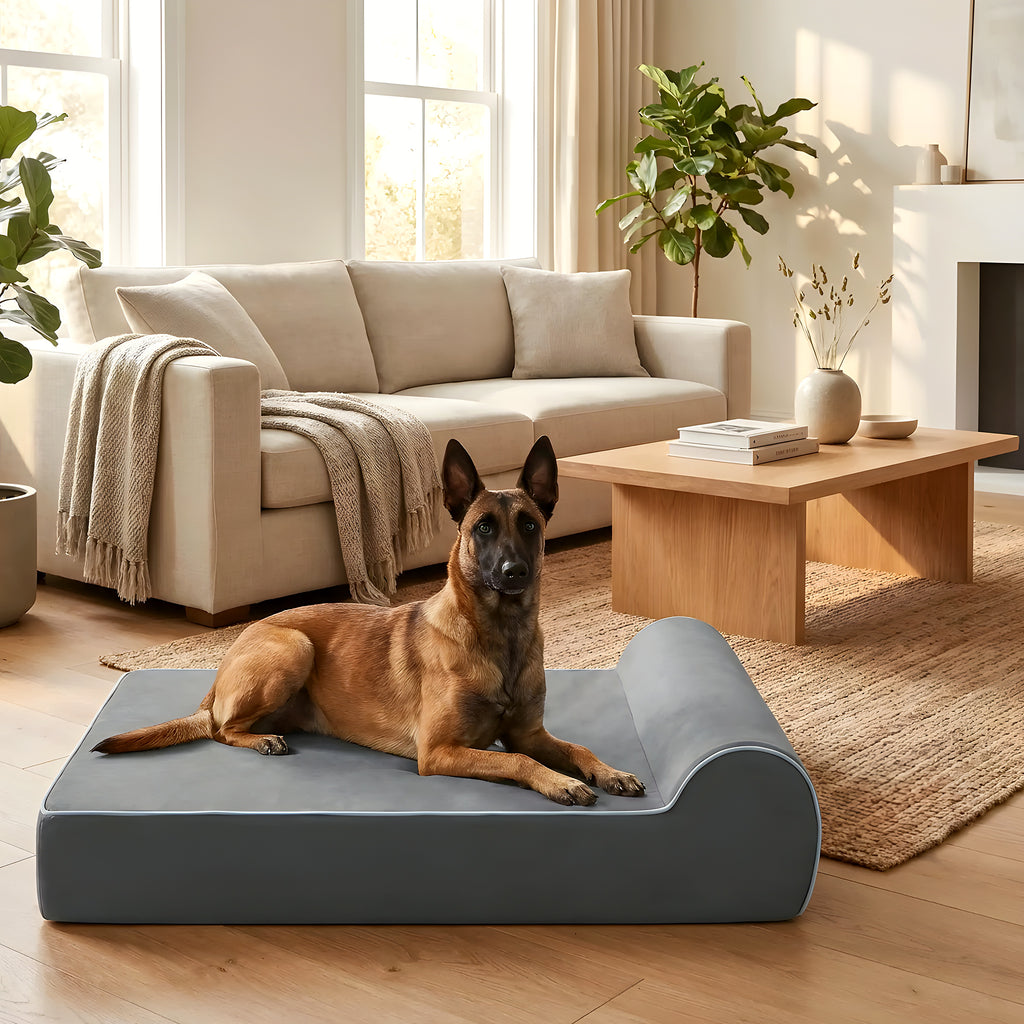 Banquette orthopédique à mémoire de graphène pour chien