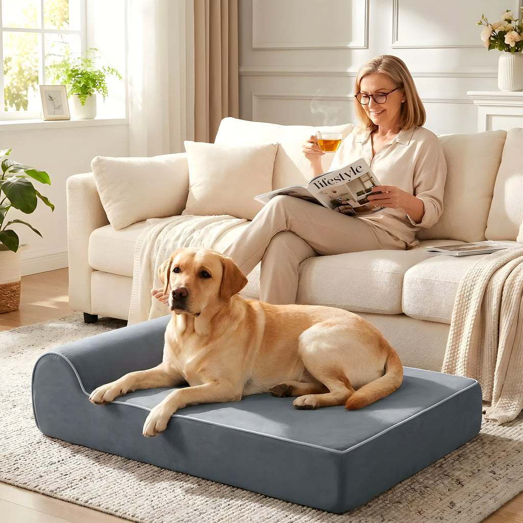 Banquette orthopédique à mémoire de graphène pour chien