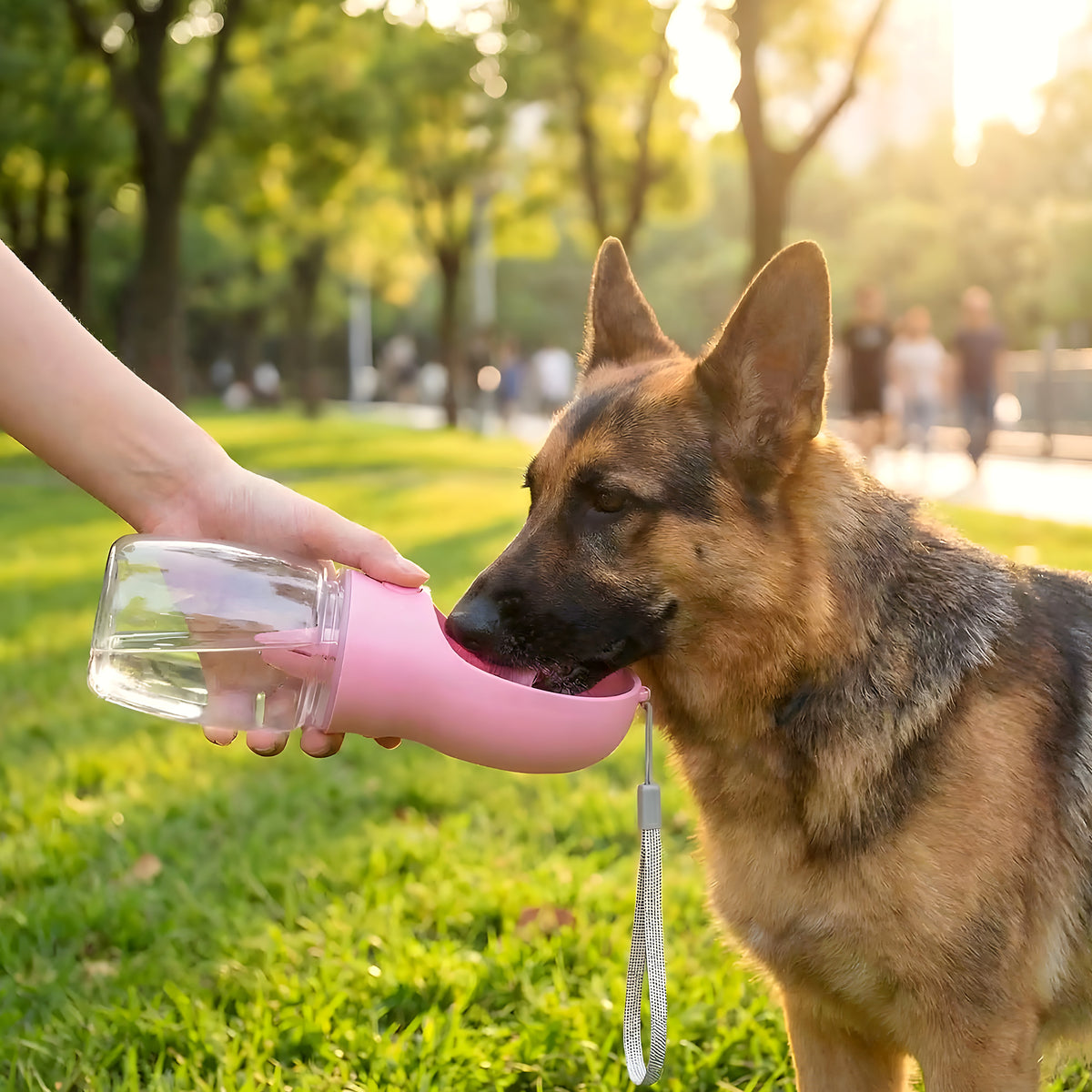 Bouteille d'eau filtrante antifuite pour chien