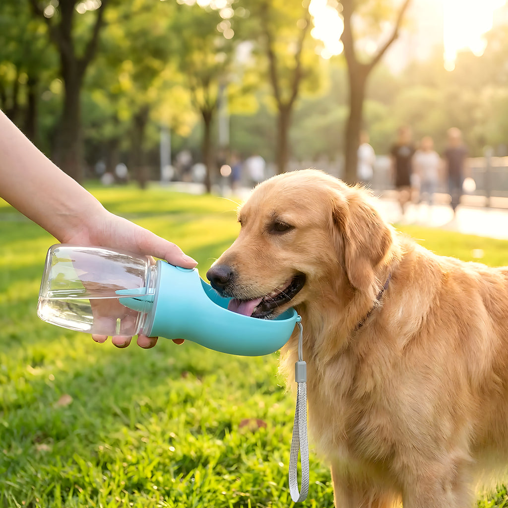 Bouteille d'eau filtrante antifuite pour chien
