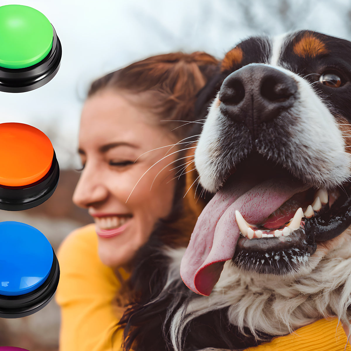 Boutons de communication enregistrables pour chien