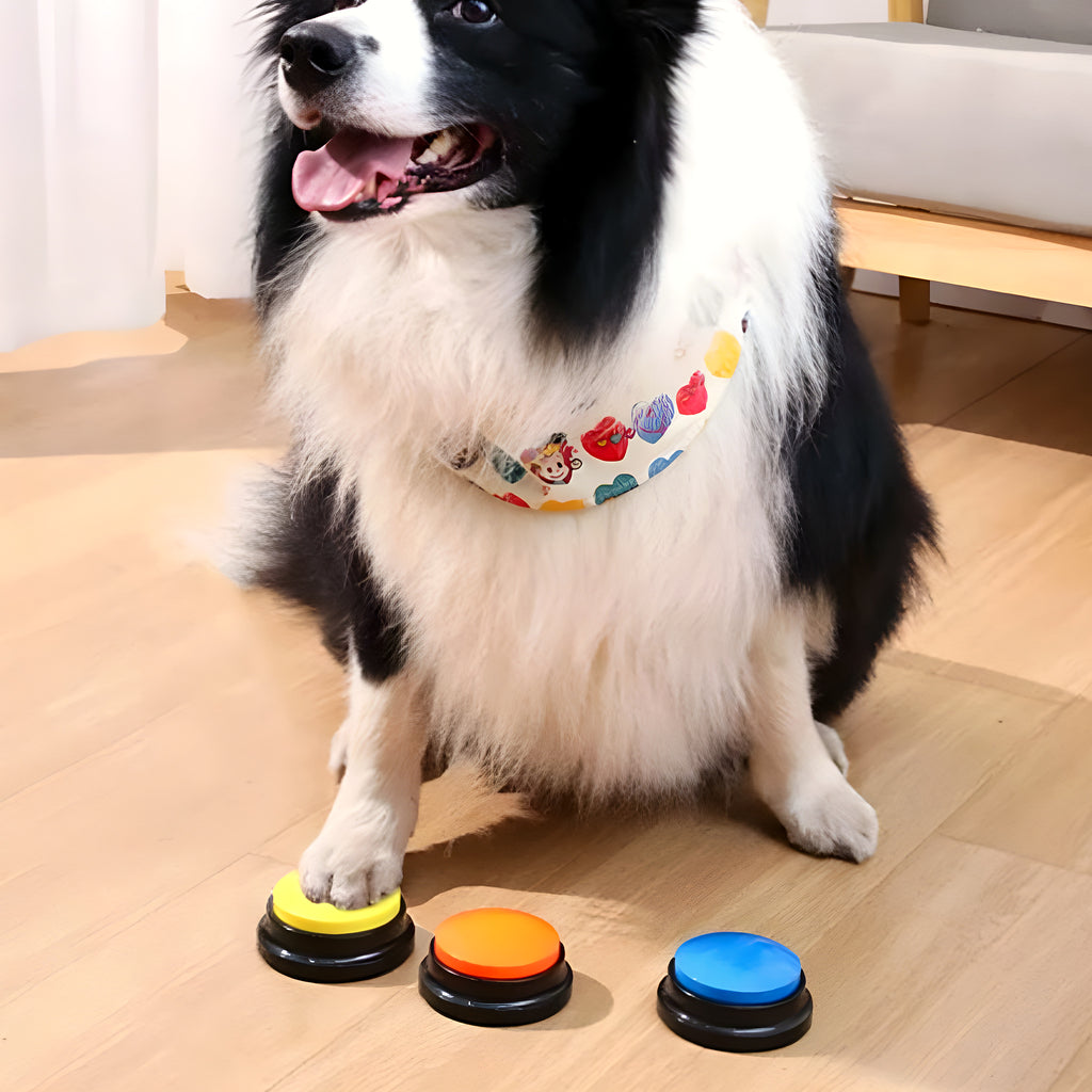 Buzzer enregistrable pour chien, à l'unité ou en pack
