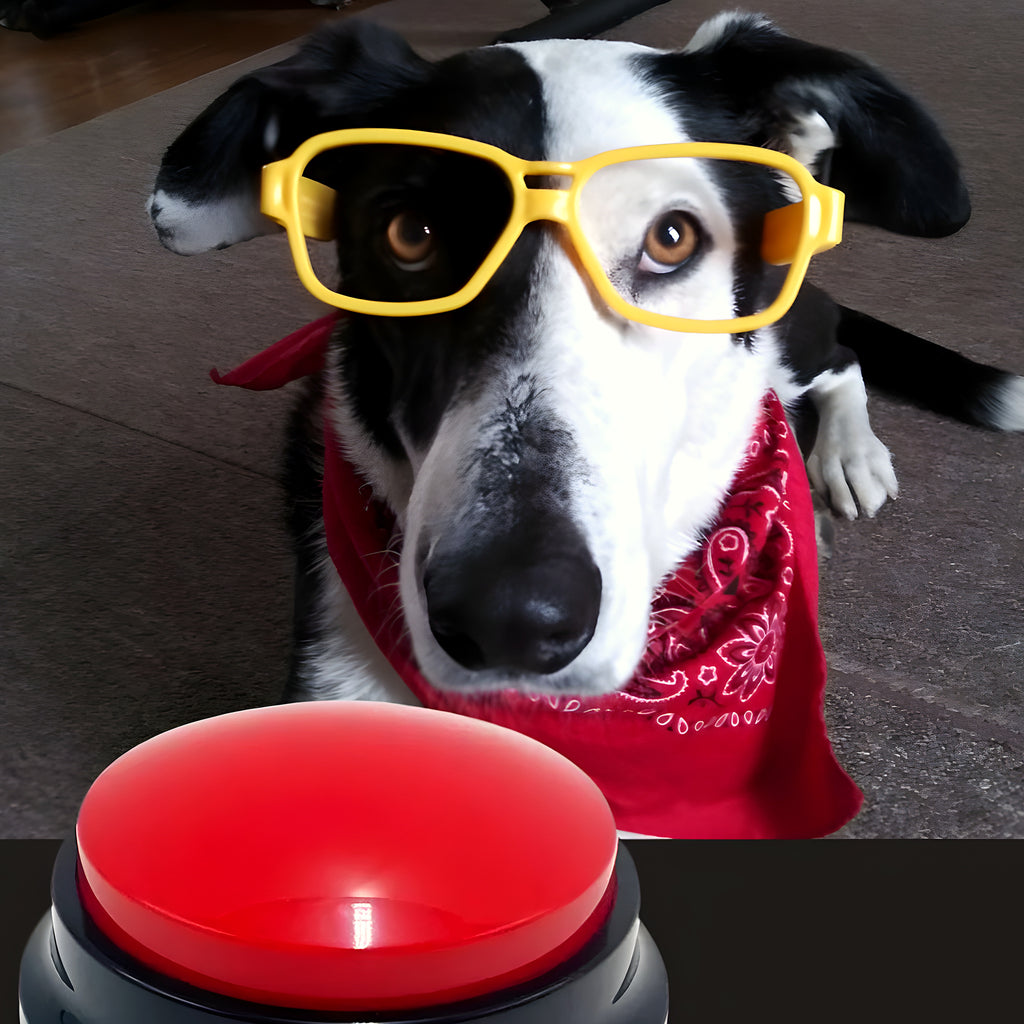 Buzzer enregistrable pour chien, à l'unité ou en pack