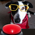 Buzzer enregistrable pour chien, à l'unité ou en pack