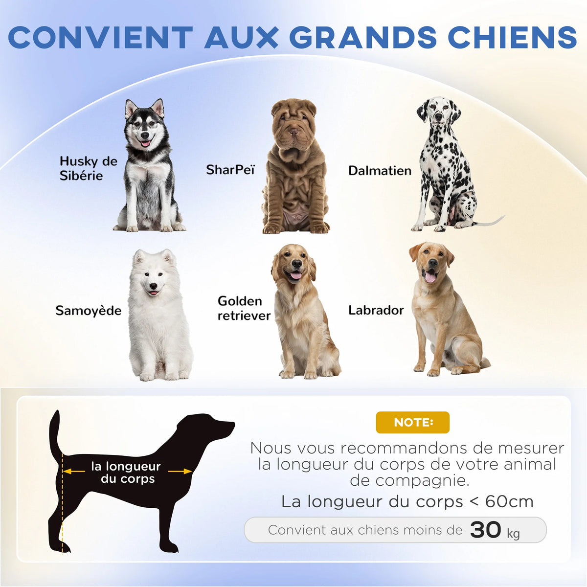 Canapé Chien Grand Lit Surélevé Pour Chien Coussin Lavable Cadre En Bois Tissu Polyester 98 X 67 X 25 Cm Gris Foncé