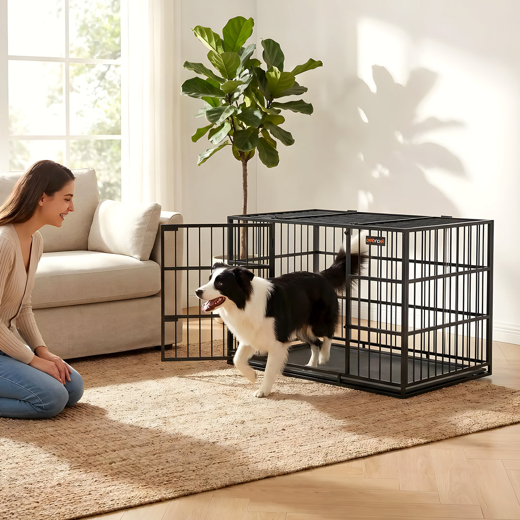 Cage d'intérieur XL 2 portes pour chien de 25 à 40 kg