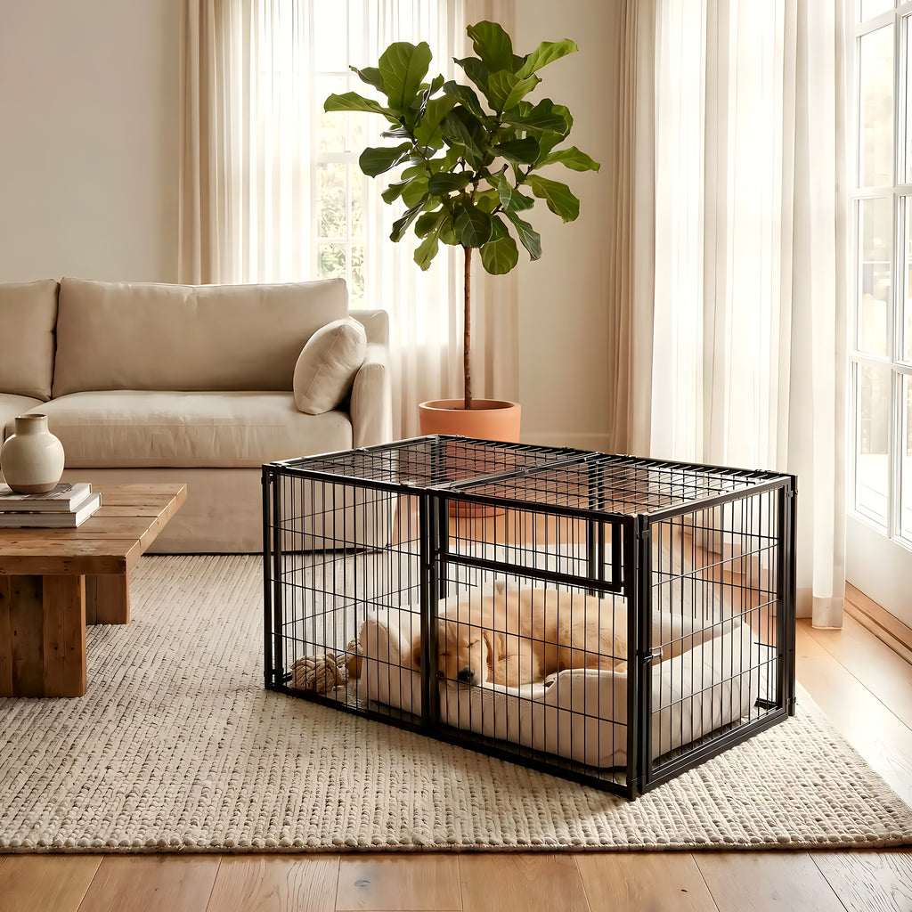 Cage modulable noire porte avant ou côté pour chien