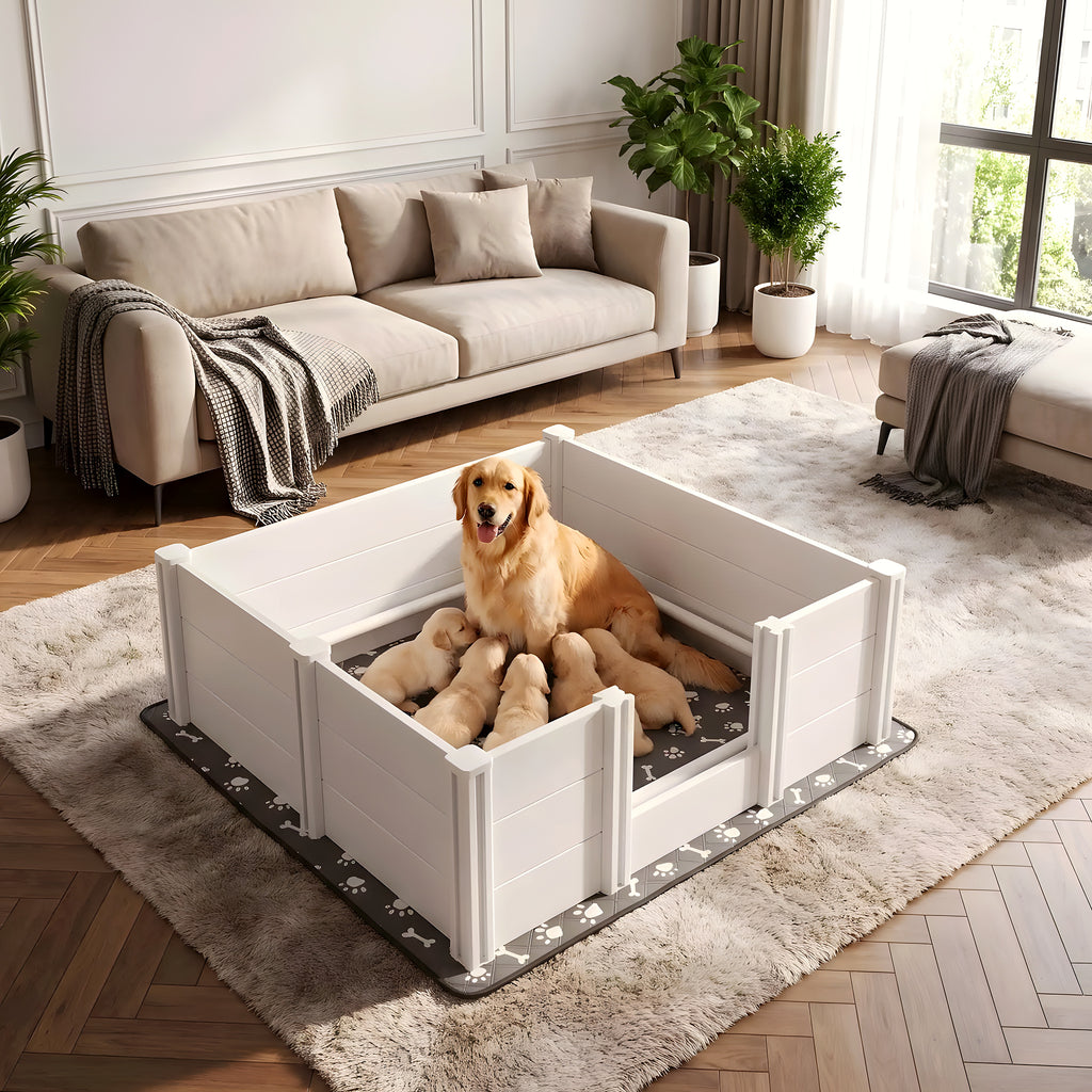 Caisse de mise bas pour chienne avec tapis absorbant