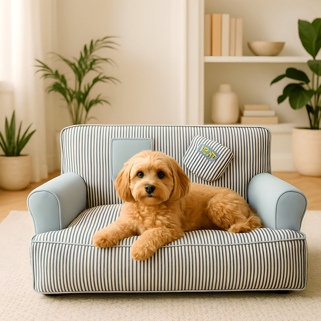 Canapé 100 % coton lavable jusqu'à 90 °C pour petit chien