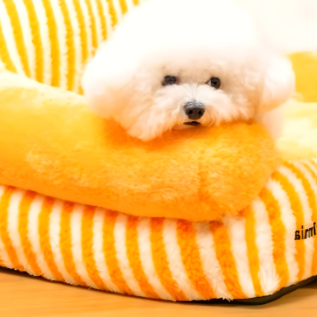 Canapé à accoudoirs déhoussable pour chien, S à L