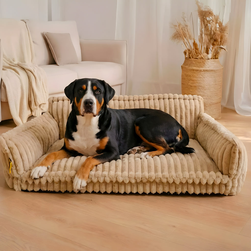 Canapé à mémoire de forme en velours côtelé pour chien, S à XL