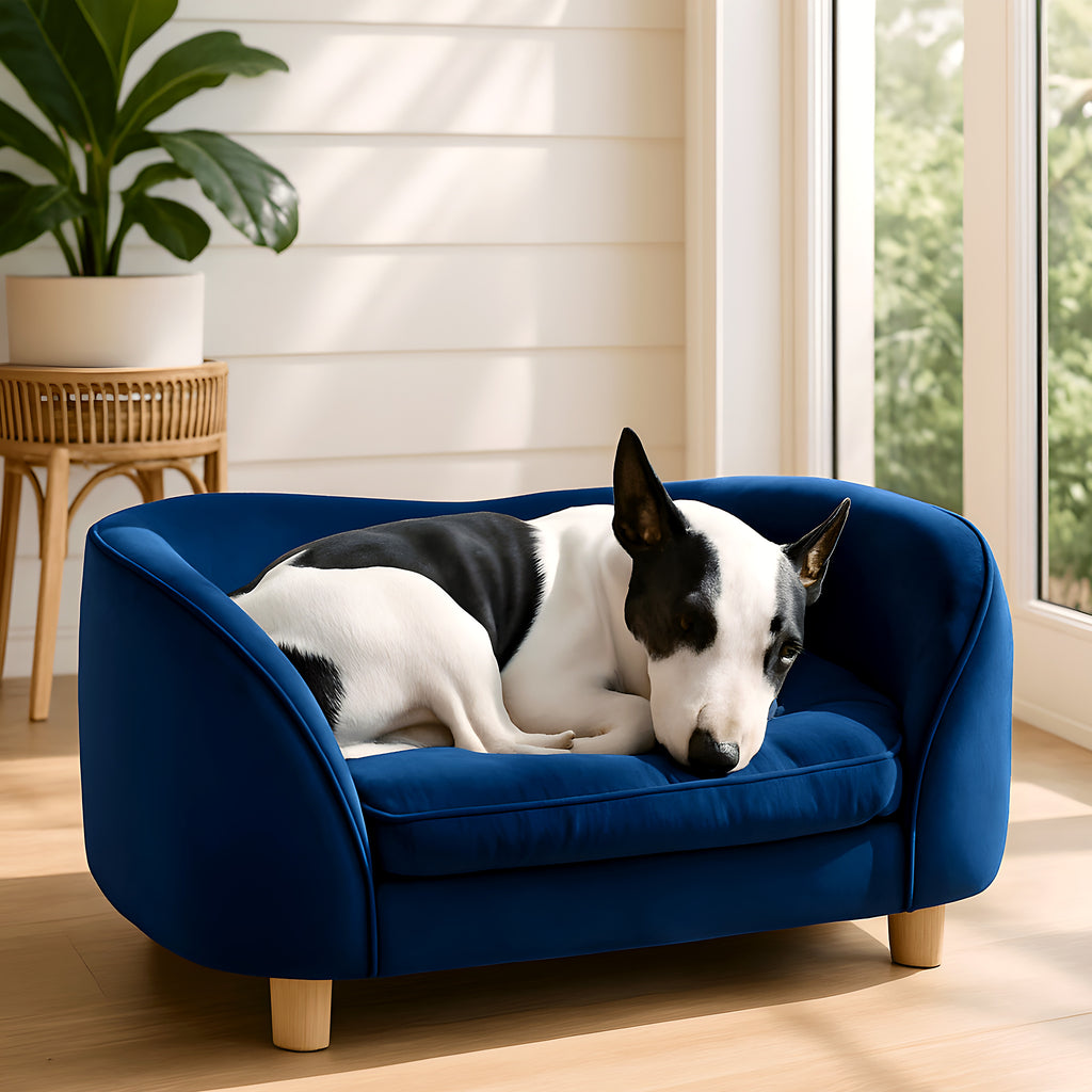 Canapé design en velours avec matelas à mémoire de forme