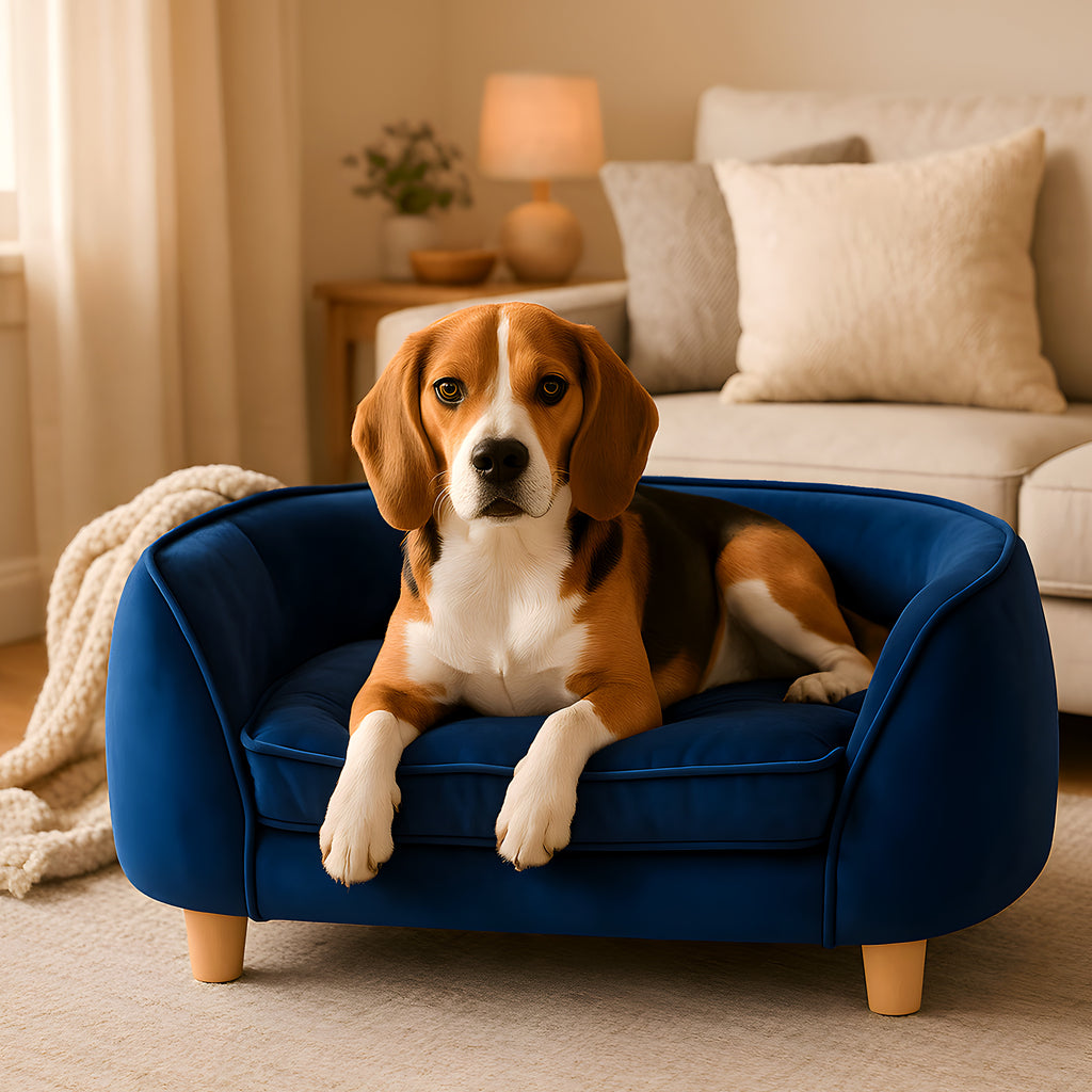 Canapé design en velours avec matelas à mémoire de forme