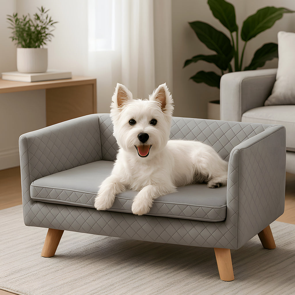 Canapé design sur pieds en bouleau massif pour petit chien