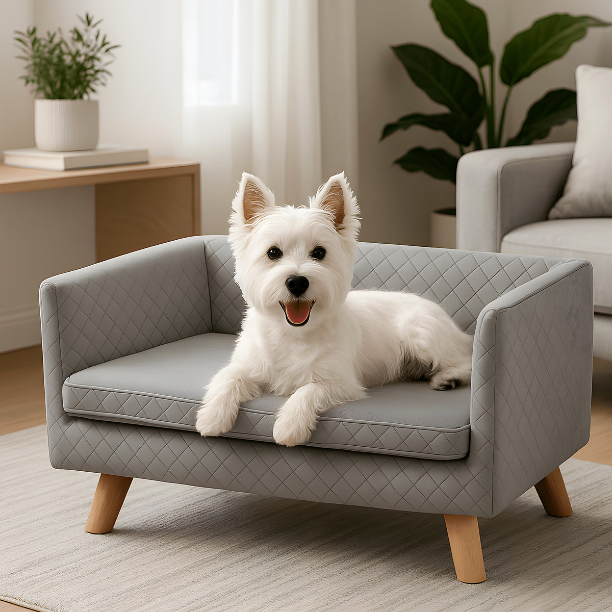 Canapé design sur pieds en bouleau massif pour petit chien