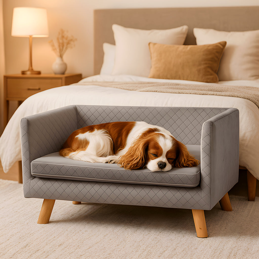 Canapé design sur pieds en bouleau massif pour petit chien