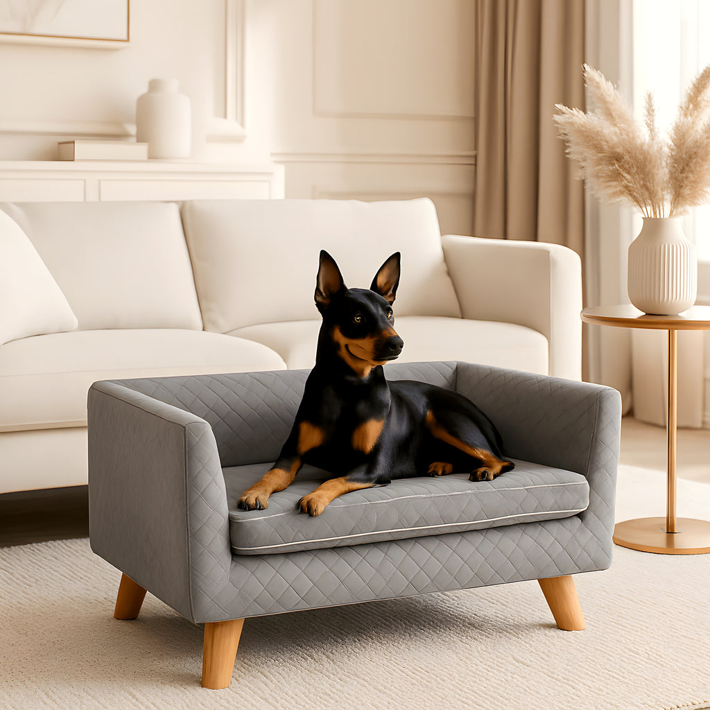 Canapé design sur pieds en bouleau massif pour petit chien