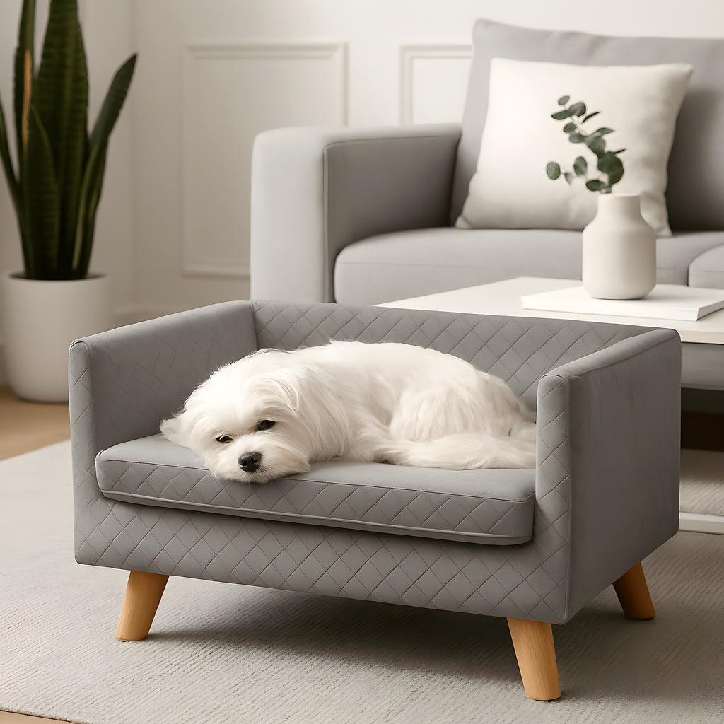 Canapé design sur pieds en bouleau massif pour petit chien