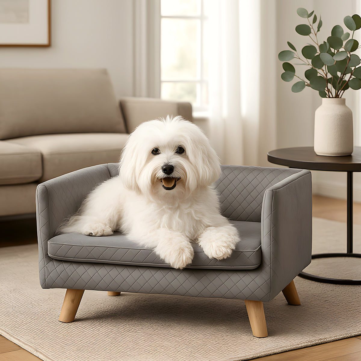 Canapé design sur pieds en bouleau massif pour petit chien