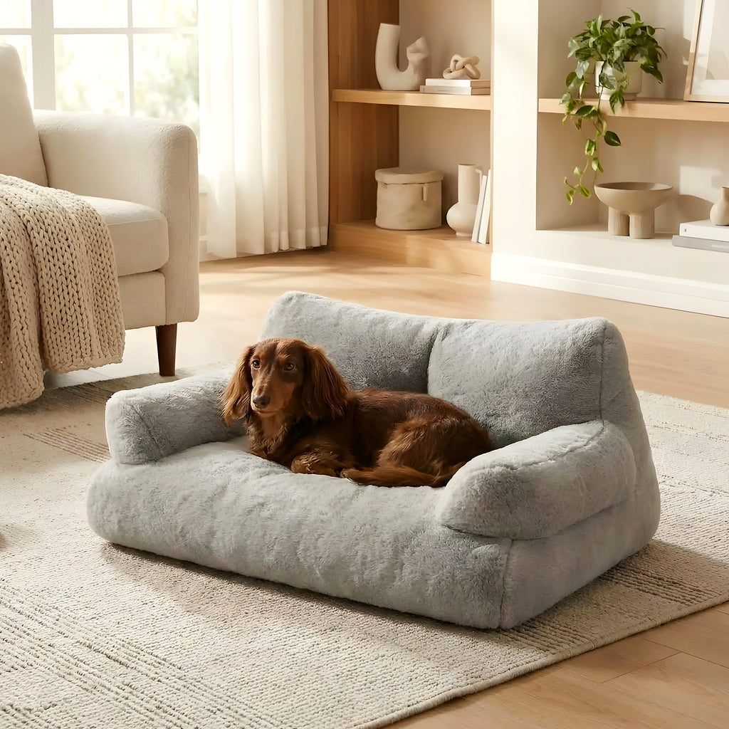 Canapé douillet à rebords hauts pour petit chien