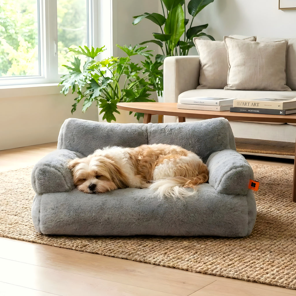 Canapé douillet à rebords hauts pour petit chien