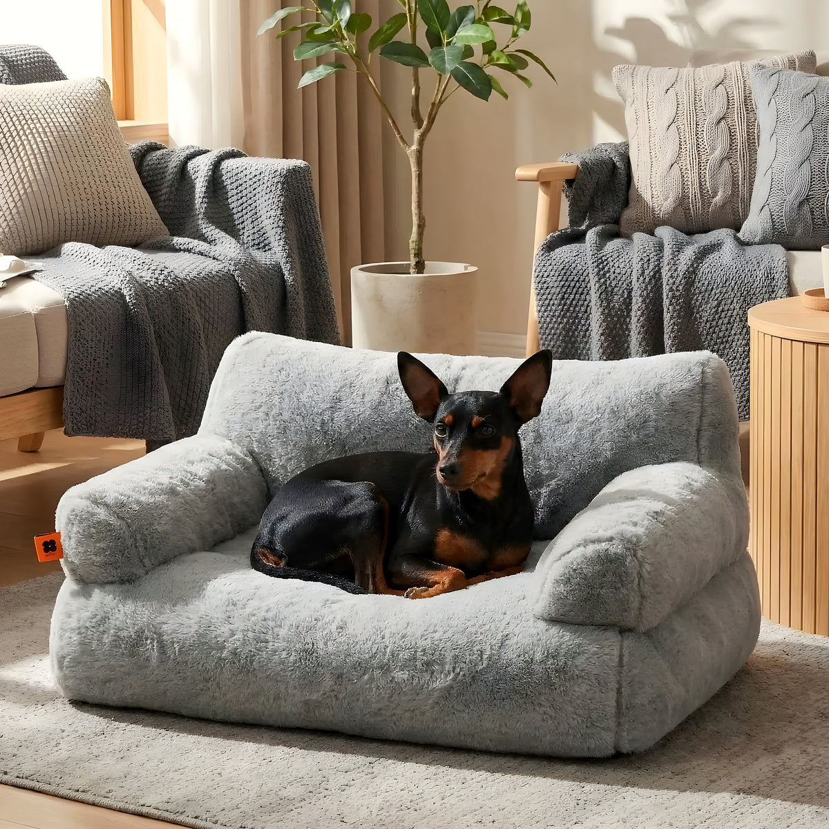 Canapé douillet à rebords hauts pour petit chien