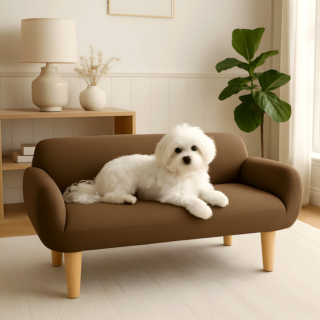 Canapé en bois de pin et eucalyptus pour petit chien