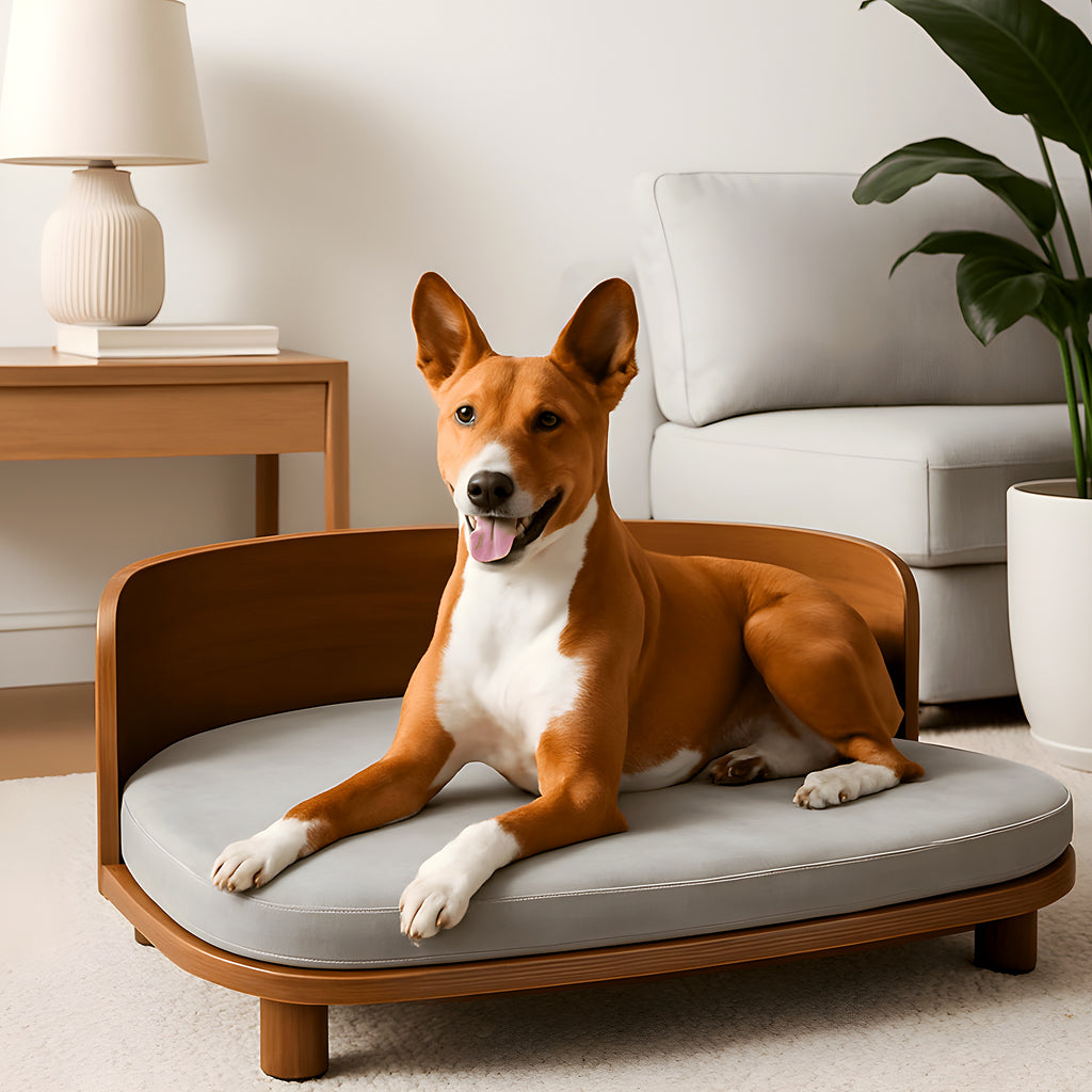 Canapé en bois naturel surélevé imperméable pour chien
