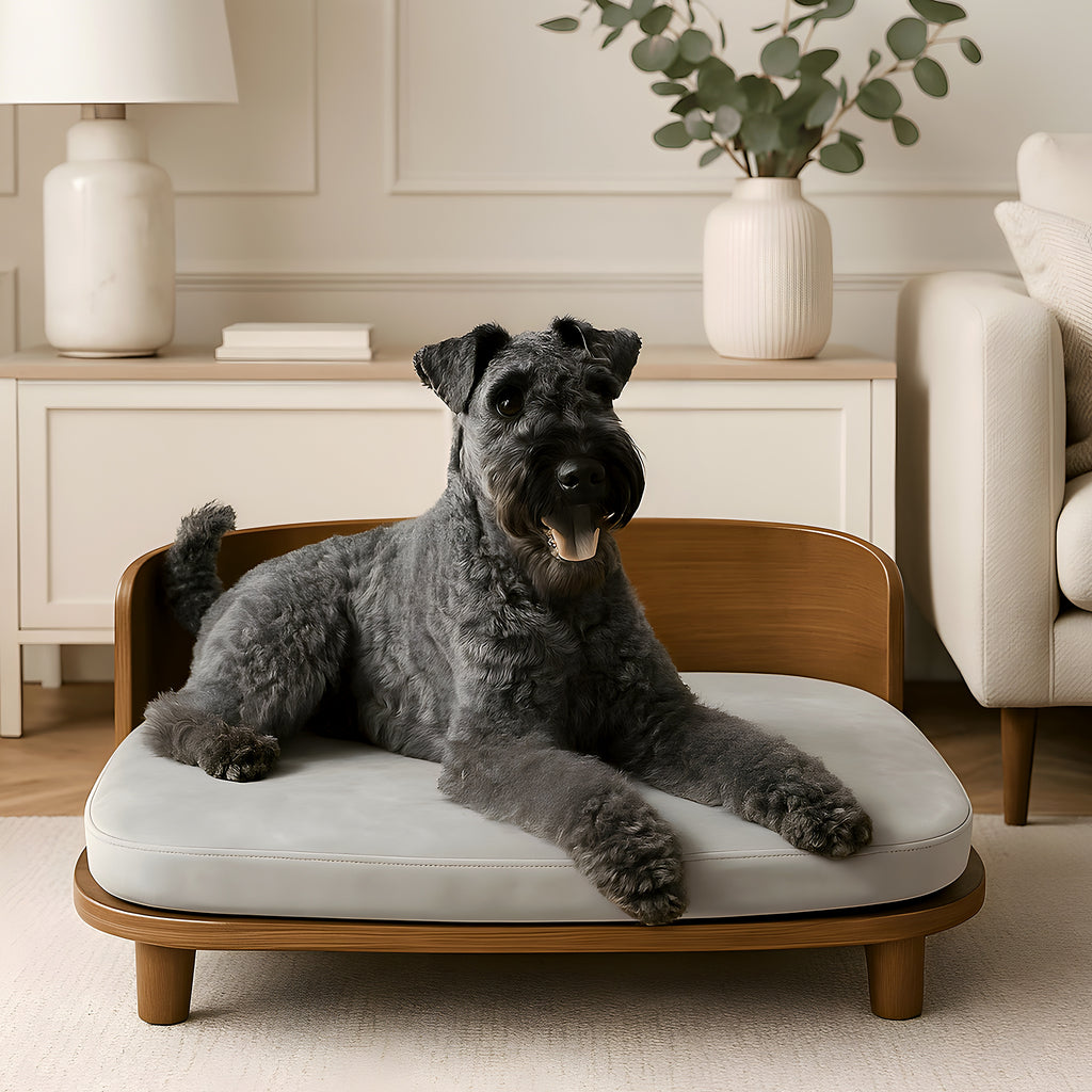 Canapé en bois naturel surélevé imperméable pour chien