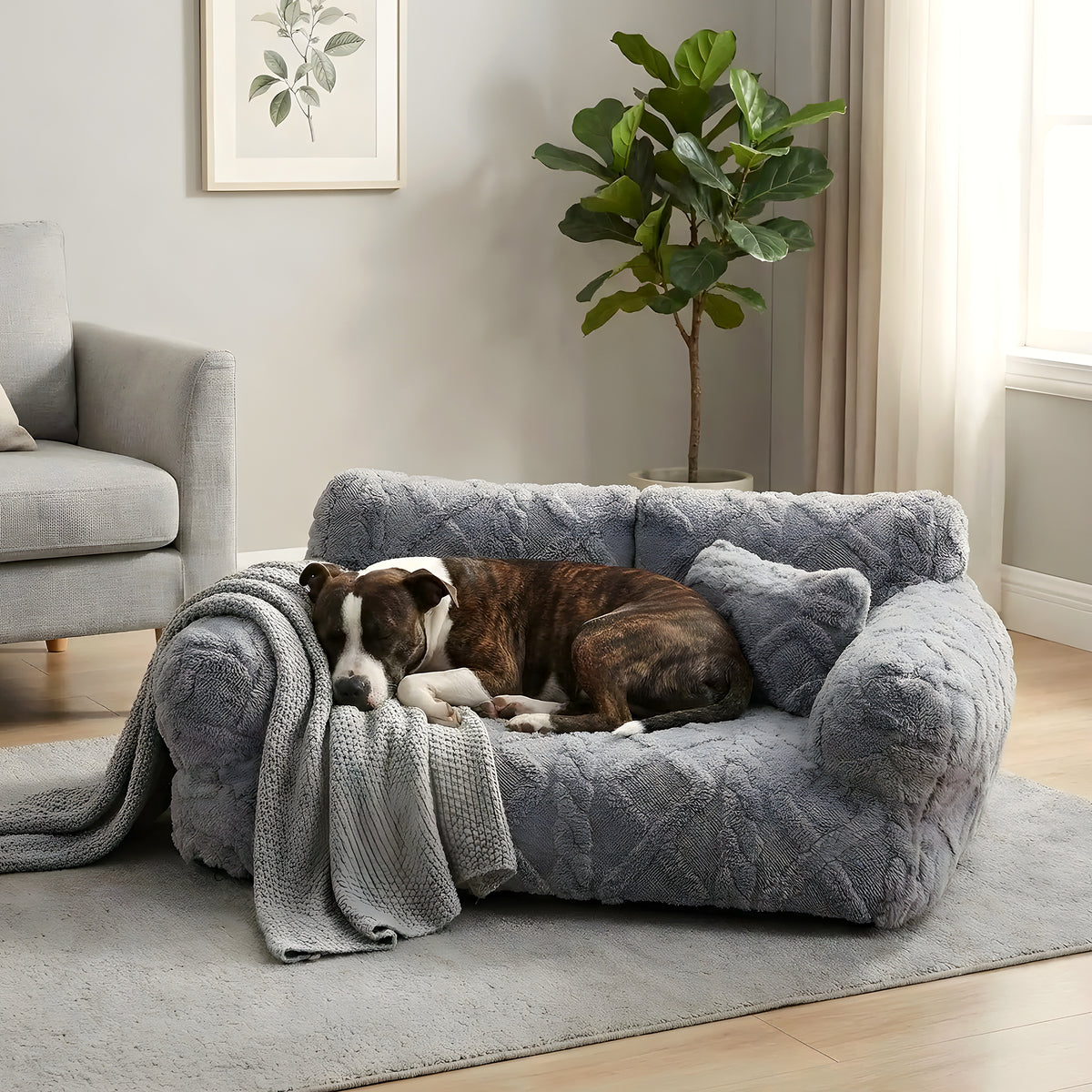 Canapé enveloppant 100 % coton pour chien, 4 coloris