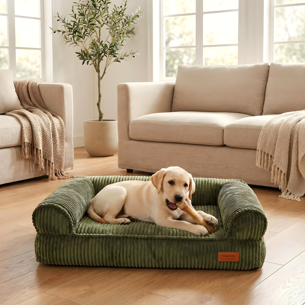 Canapé-lit vert olive en velours pour chien