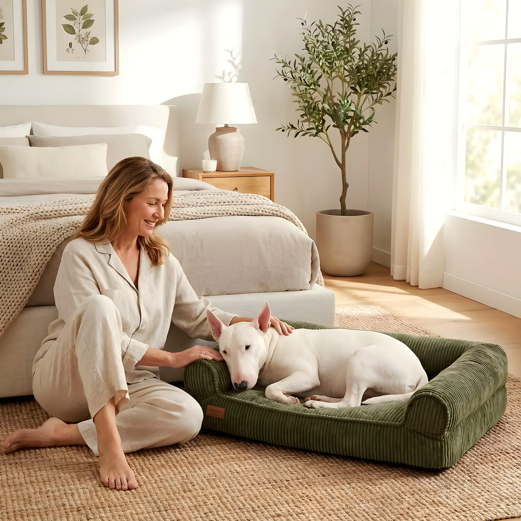 Canapé-lit vert olive en velours pour chien