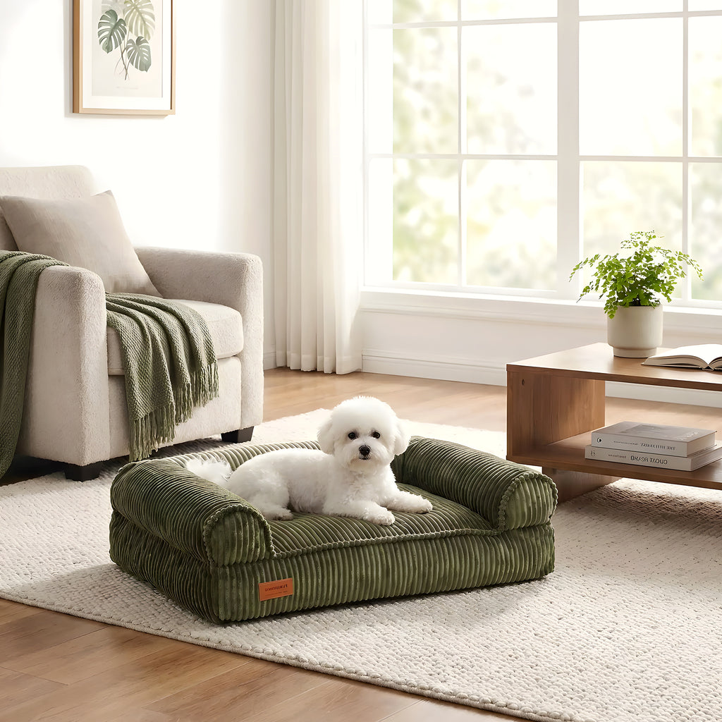 Canapé-lit vert olive en velours pour chien