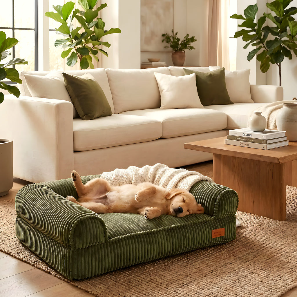 Canapé-lit vert olive en velours pour chien