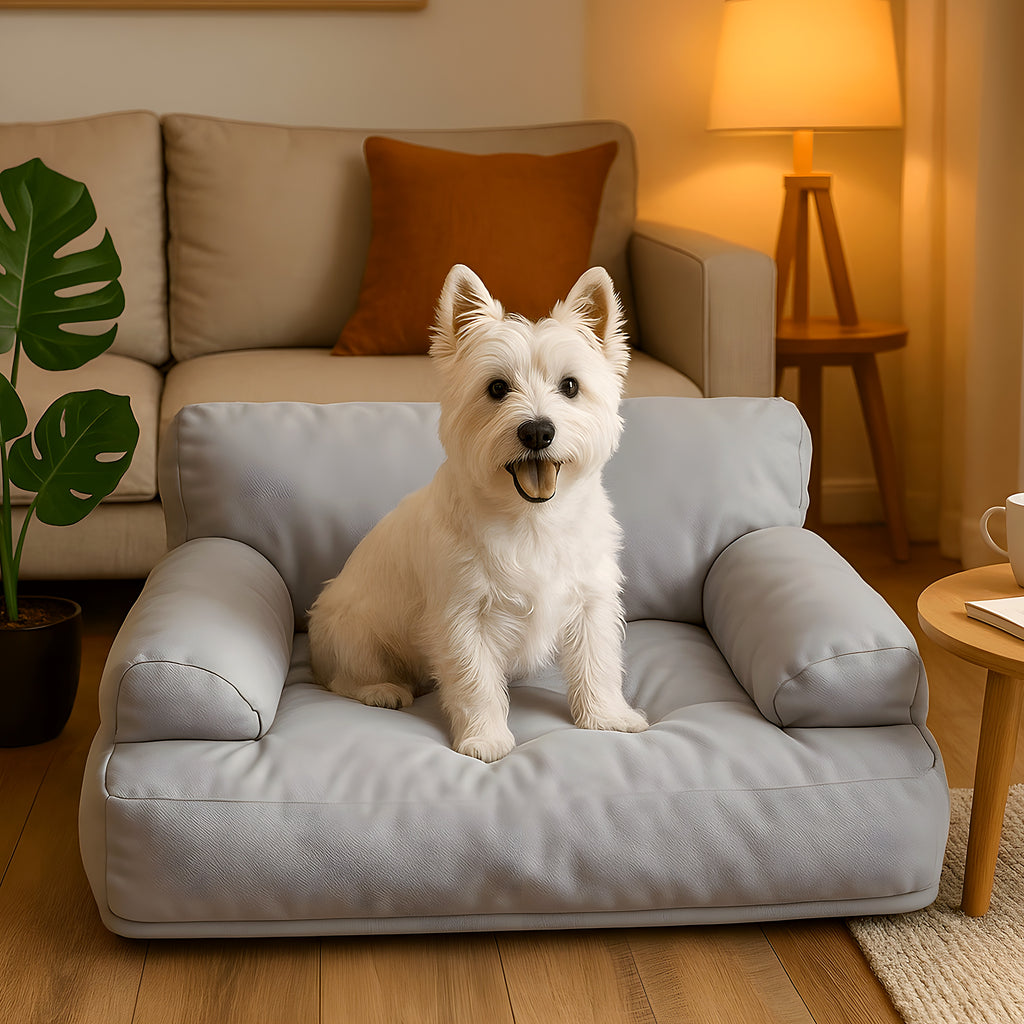 Canapé minimaliste imperméable pour petit chien