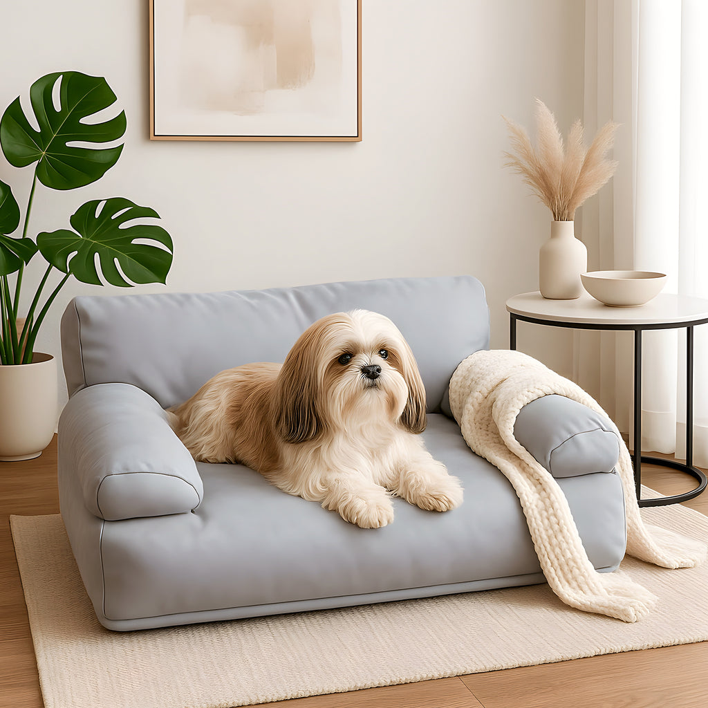 Canapé minimaliste imperméable pour petit chien