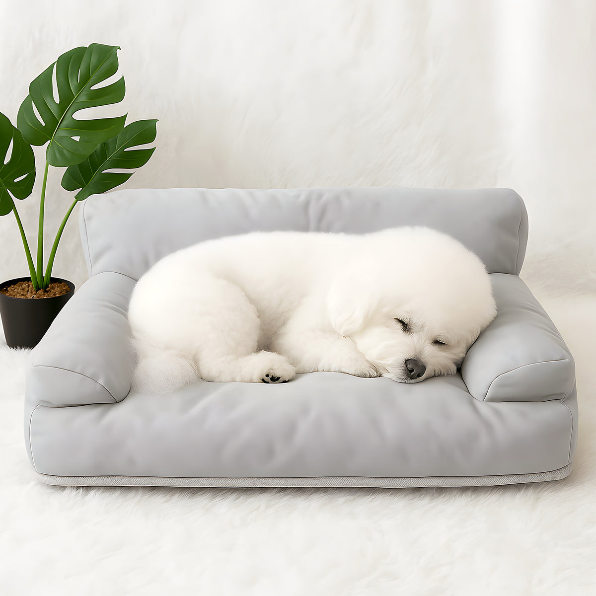 Canapé minimaliste imperméable pour petit chien