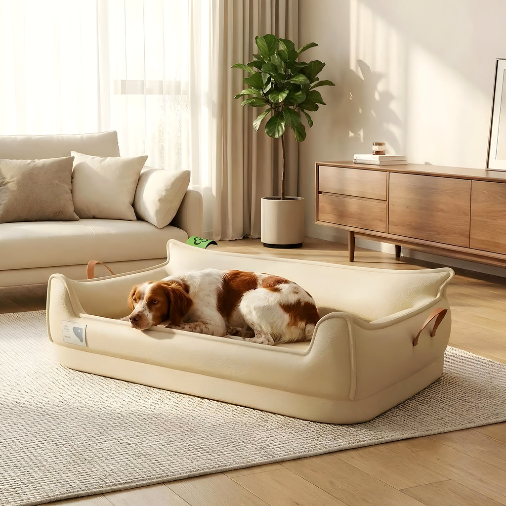 Canapé orthopédique imperméable avec poignées pour chien