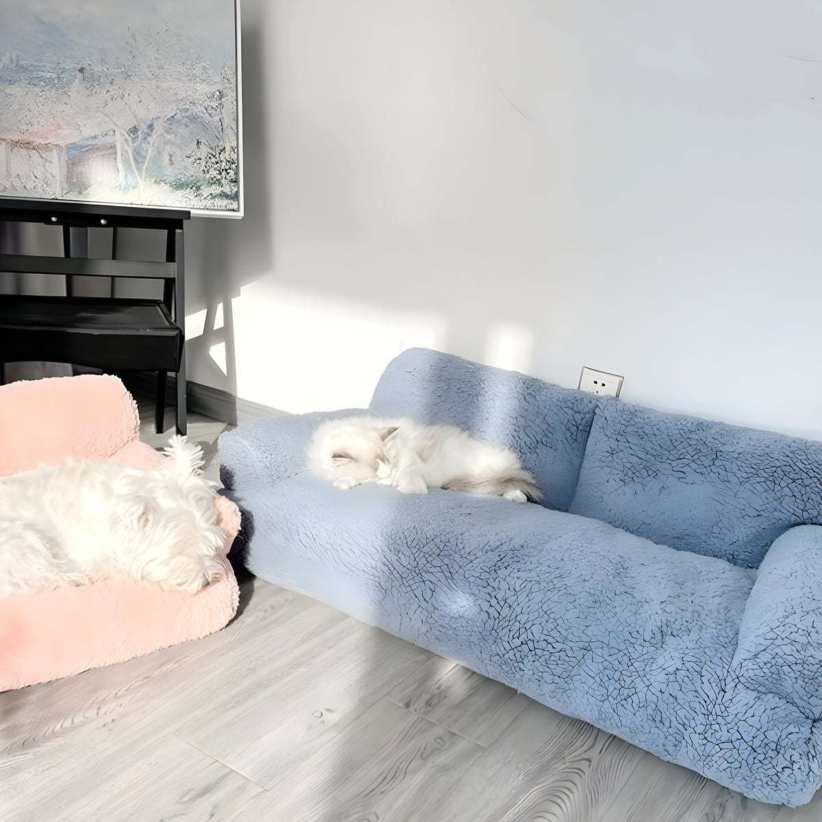 Canapé orthopédique pour chien, S à XXL