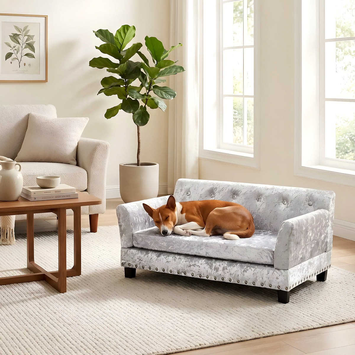 Canapé orthopédique XL en velours pour chien