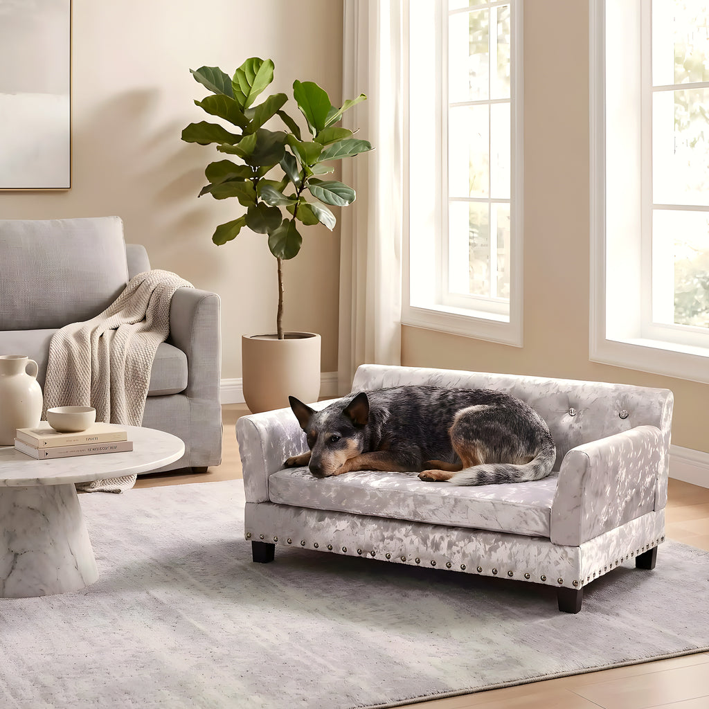 Canapé orthopédique XL en velours pour chien