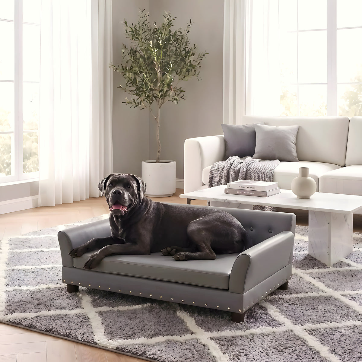 Canapé orthopédique XXL 120 cm pour très grand chien