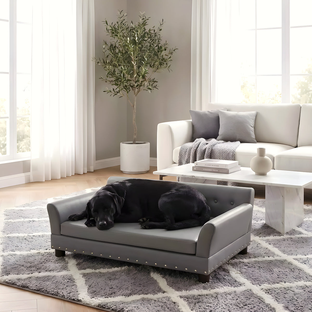 Canapé orthopédique XXL 120 cm pour très grand chien