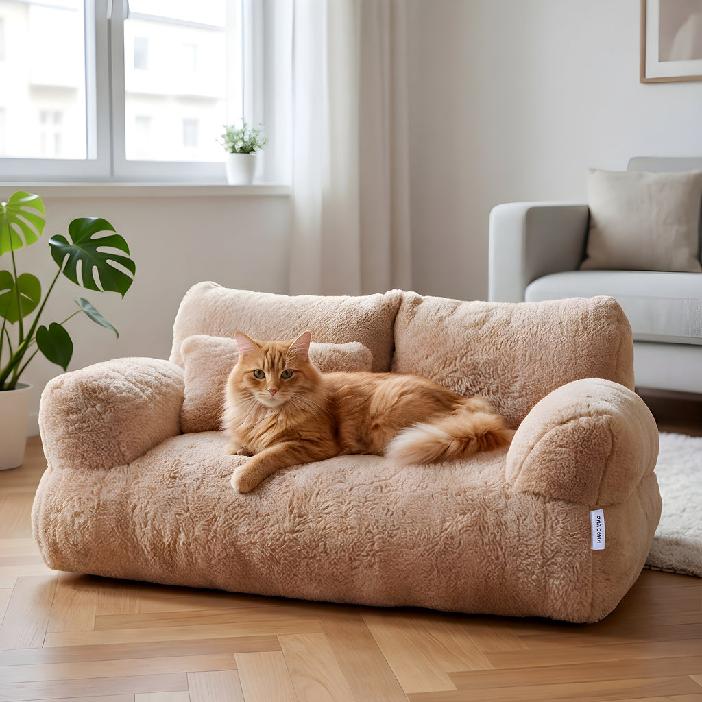Canapé peluche pour chat