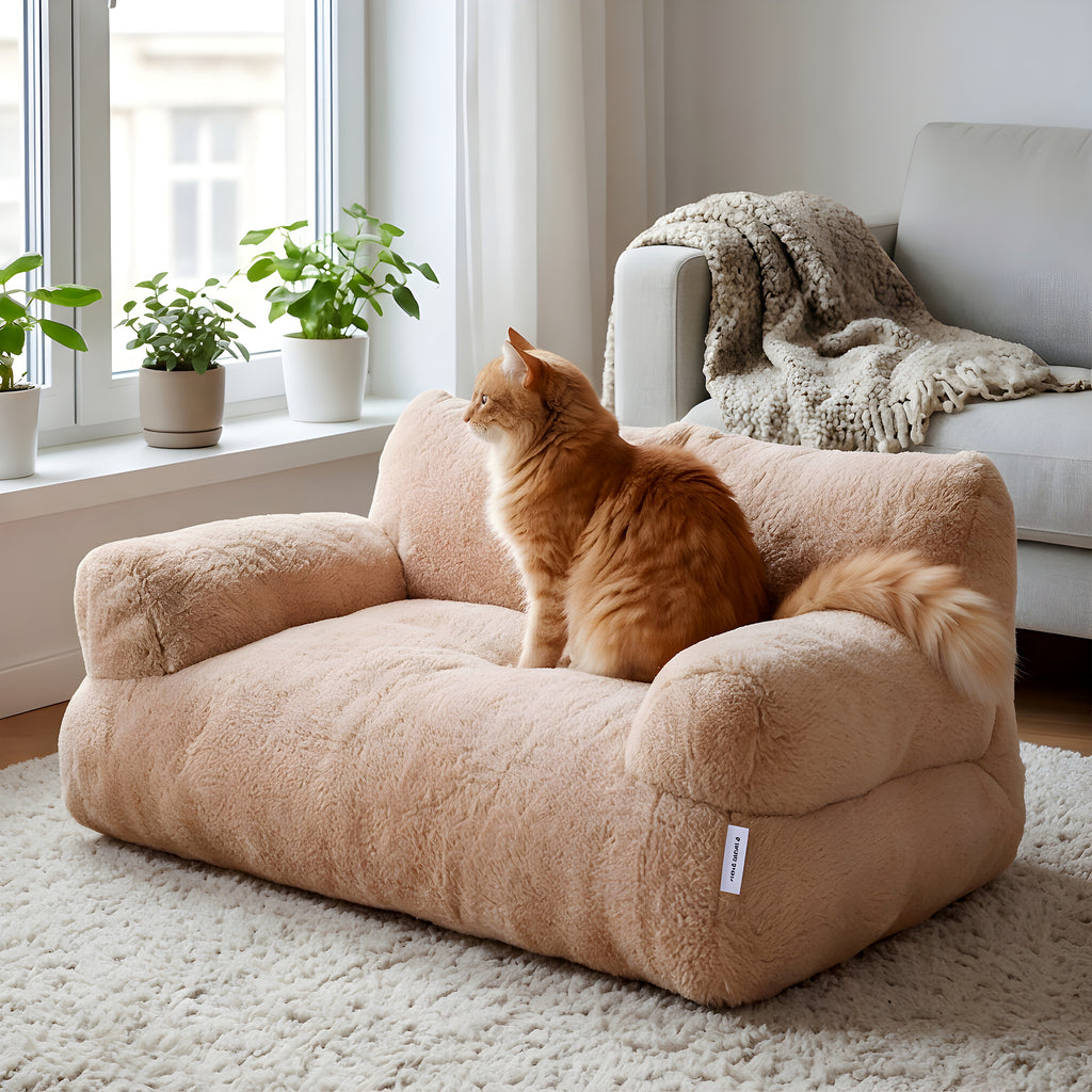 Canapé peluche pour chat
