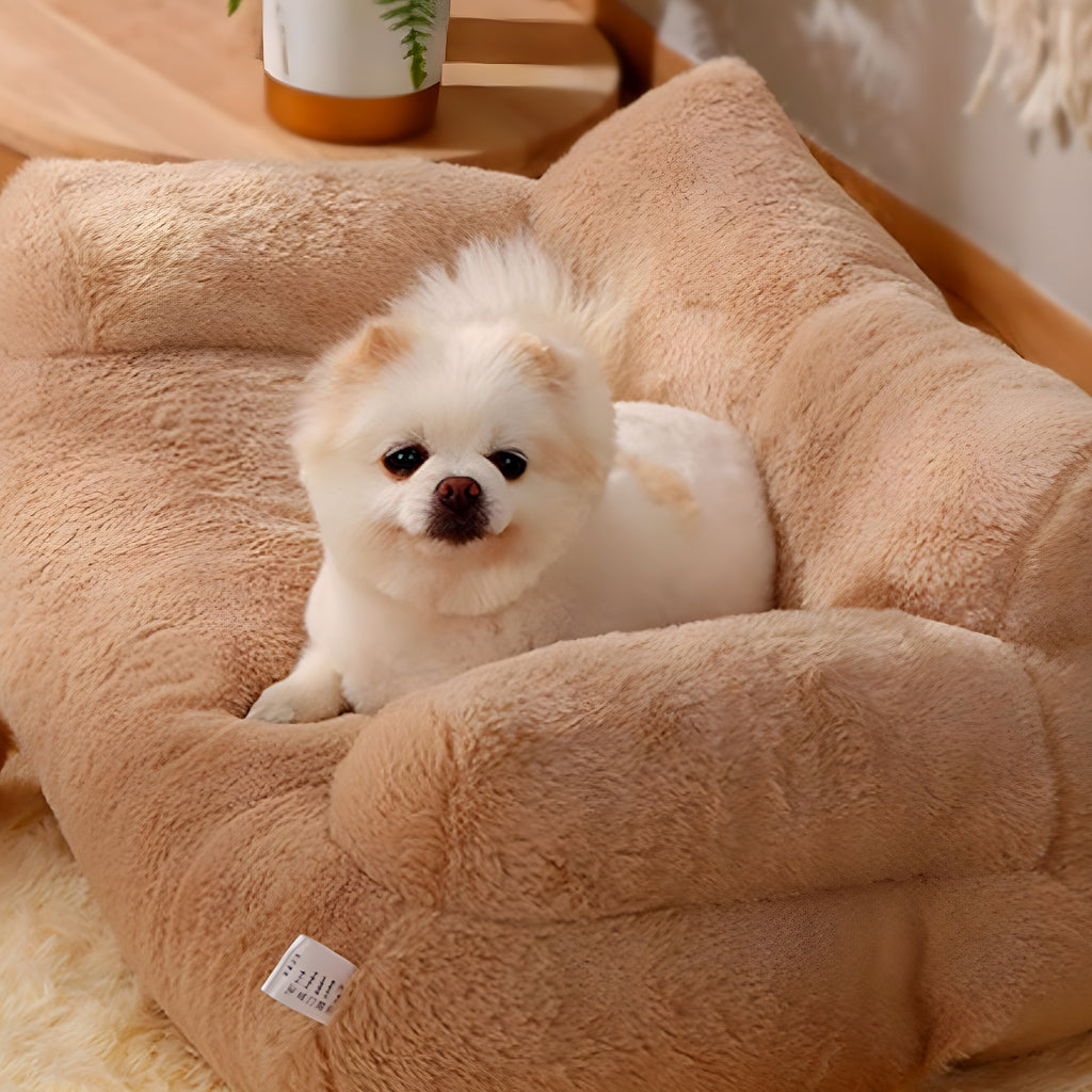 Canapé pouf en peluche pour petit chien