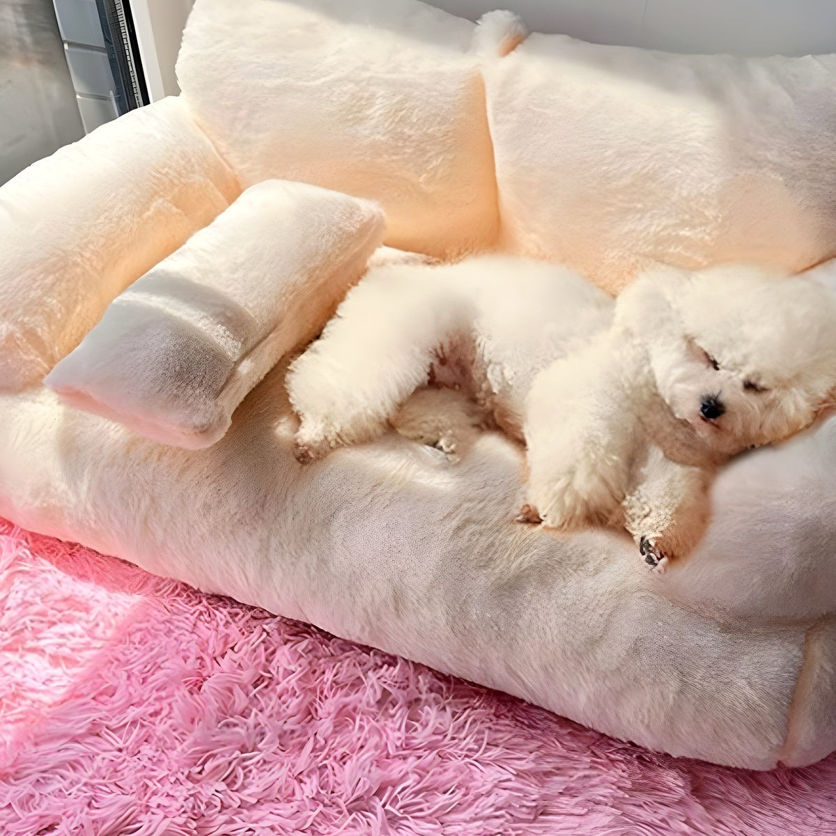 Canapé pouf en peluche pour petit chien