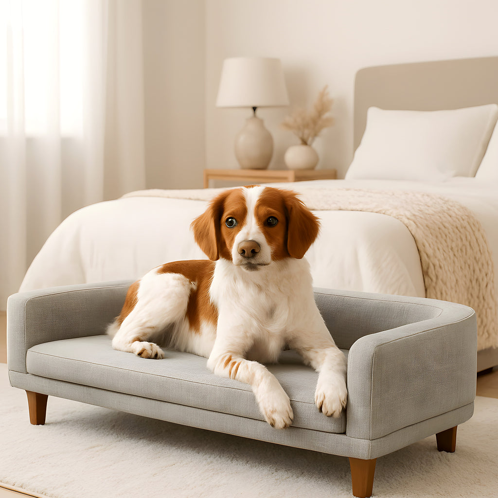 Canapé sur pieds en pin avec grande assise pour chien