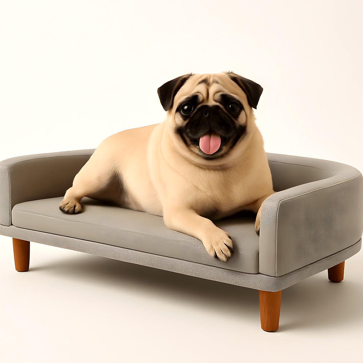 Canapé sur pieds en pin avec grande assise pour chien